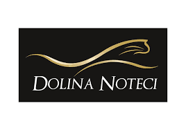 Dolina Noteci